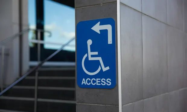 Inclusion at Work: Are UK Disability Employment Schemes Working?