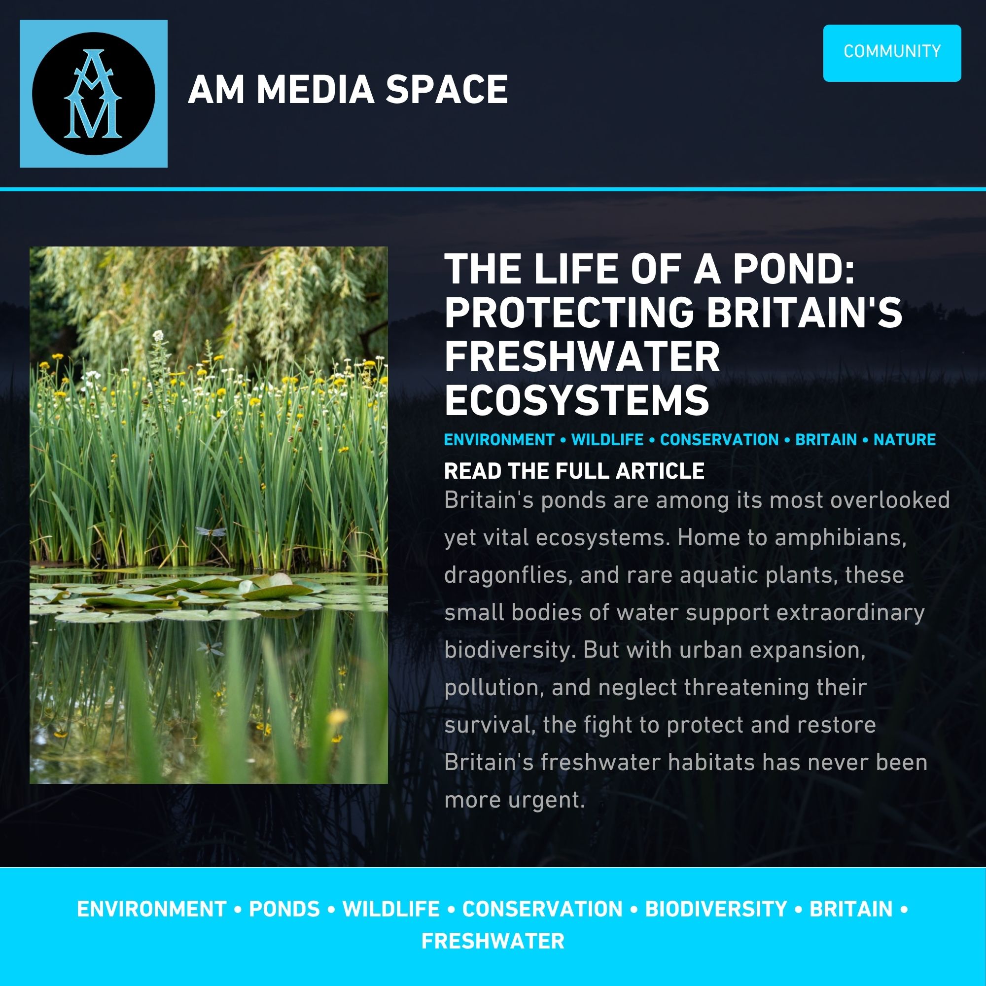 The Dramatic Decline of Pond Life: Protecting Britain's Freshwater Wildlife for Future Generations